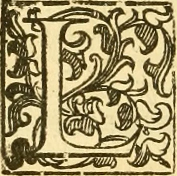 An illustration from Della felicità di Padova, 1623, leaf 41