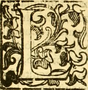 An illustration from Della felicità di Padova, 1623, leaf 458