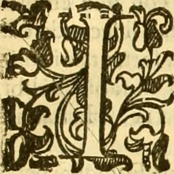An illustration from Della felicità di Padova, 1623, leaf 472
