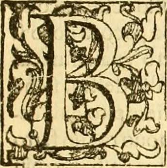 An illustration from Della felicità di Padova, 1623, leaf 48