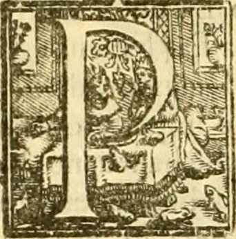 An illustration from Della felicità di Padova, 1623, leaf 495