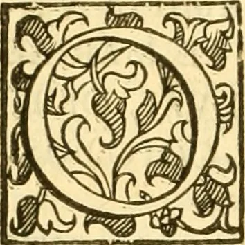 An illustration from Della felicità di Padova, 1623, leaf 515