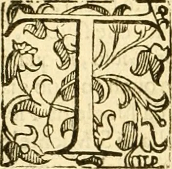 An illustration from Della felicità di Padova, 1623, leaf 531