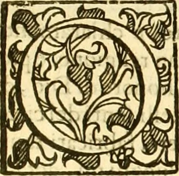 An illustration from Della felicità di Padova, 1623, leaf 534