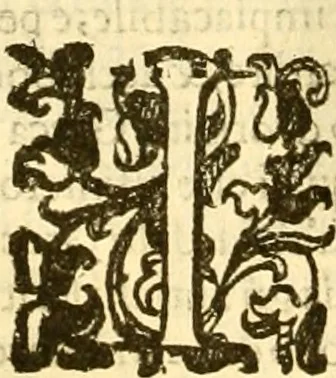 An illustration from Della felicità di Padova, 1623, leaf 63