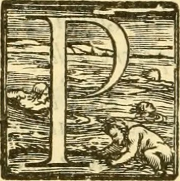 An illustration from Della felicità di Padova, 1623, leaf 71