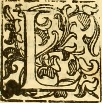An illustration from Della felicità di Padova, 1623, leaf 76