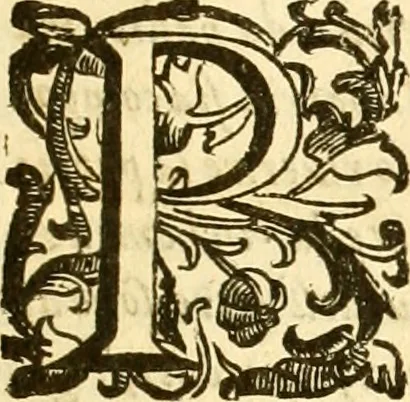 An illustration from Della felicità di Padova, 1623, leaf 8