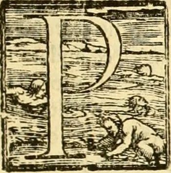 An illustration from Della felicità di Padova, 1623, leaf 98