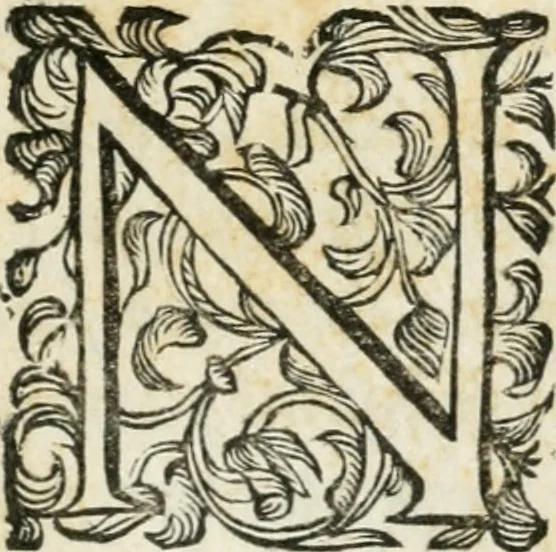 An illustration from Apparato della festivita del glorioso S. Gio. Battista : fatto dal fedelisimo popolo napolitano à XXIII. di giugno MDCXXVII, all'Eccellenza del signor d. Antonio Alvare[z] di Toledo, duca d'Alv[a], vicere nel regno, 1627, leaf 8