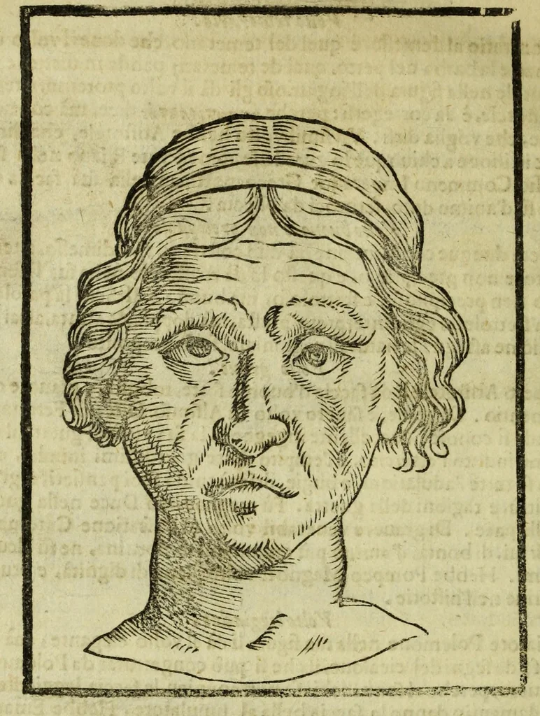 An illustration from Della fisionomia dell'huomo, 1644, leaf 114