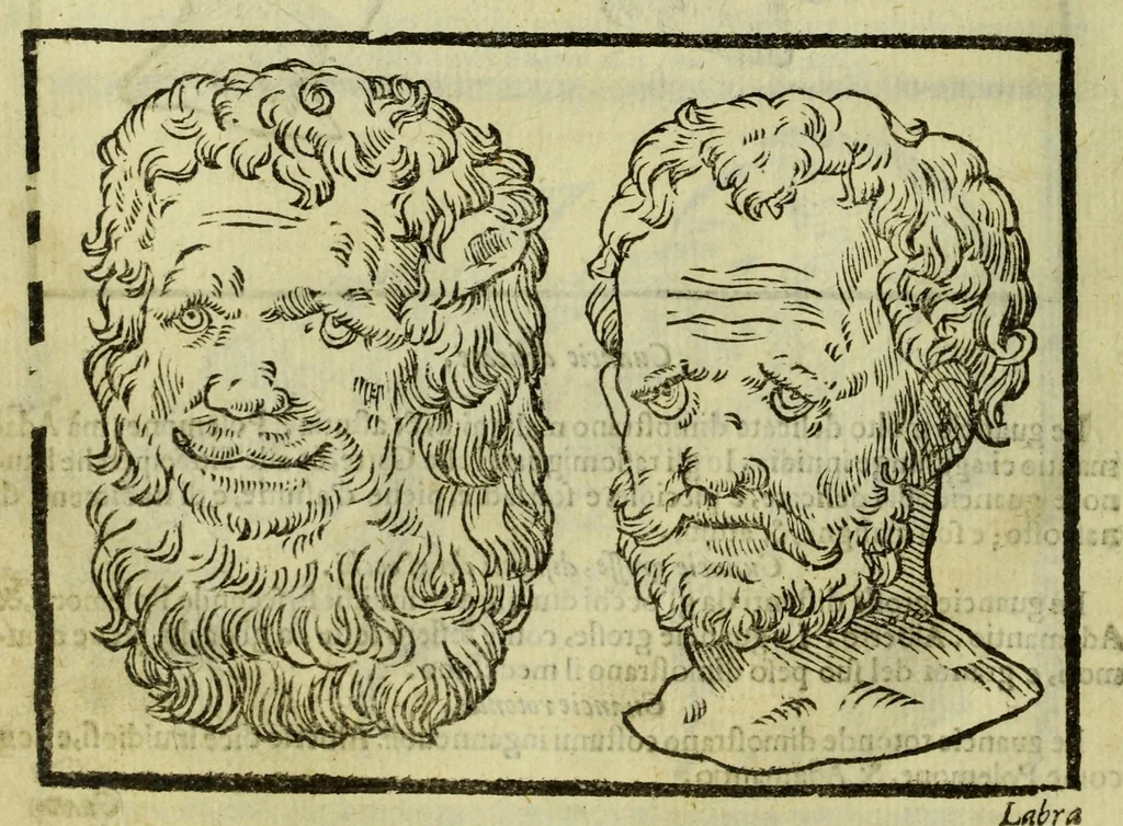 An illustration from Della fisionomia dell'huomo, 1644, leaf 120
