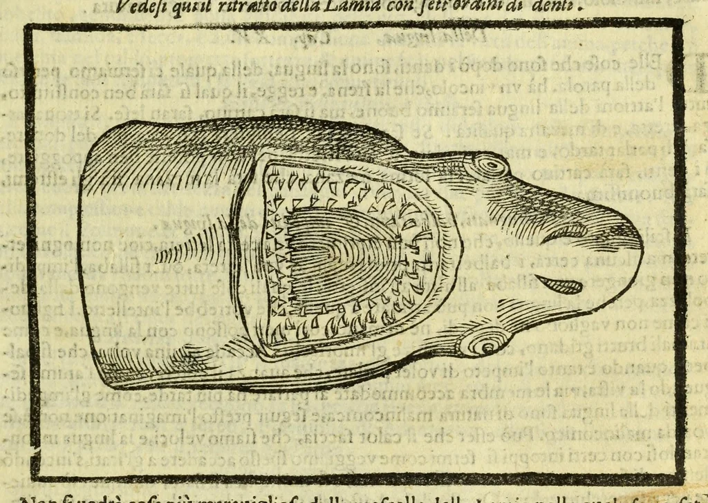 An illustration from Della fisionomia dell'huomo, 1644, leaf 127