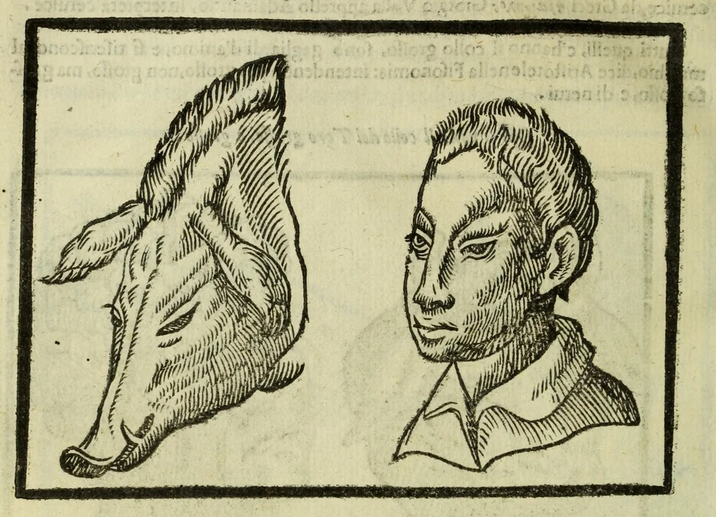 An illustration from Della fisionomia dell'huomo, 1644, leaf 144