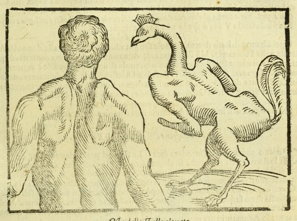 An illustration from Della fisionomia dell'huomo, 1644, leaf 153