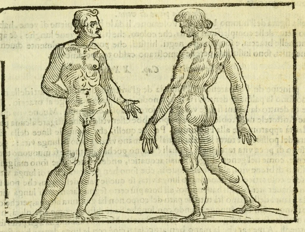 An illustration from Della fisionomia dell'huomo, 1644, leaf 169