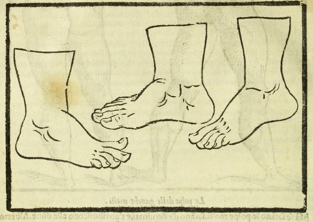 An illustration from Della fisionomia dell'huomo, 1644, leaf 184