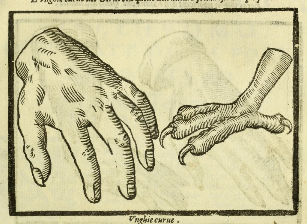 An illustration from Della fisionomia dell'huomo, 1644, leaf 191
