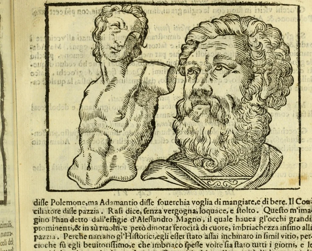 An illustration from Della fisionomia dell'huomo, 1644, leaf 205