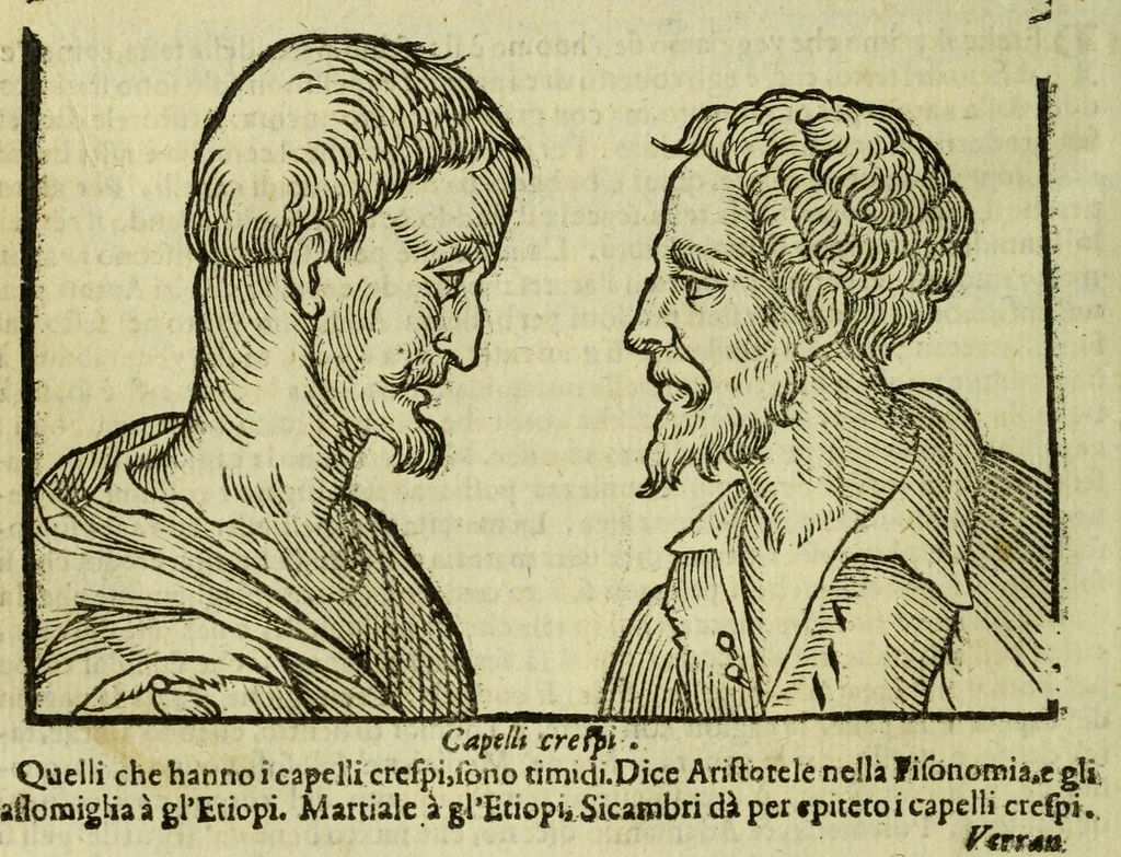 An illustration from Della fisionomia dell'huomo, 1644, leaf 236