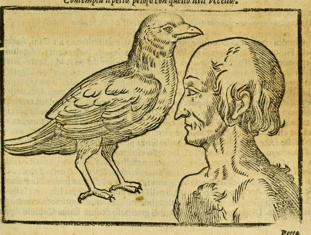An illustration from Della fisionomia dell'huomo, 1644, leaf 245