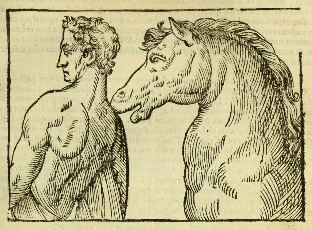 An illustration from Della fisionomia dell'huomo, 1644, leaf 267