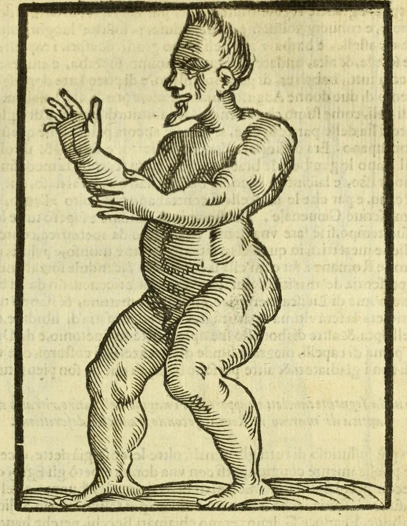 An illustration from Della fisionomia dell'huomo, 1644, leaf 311