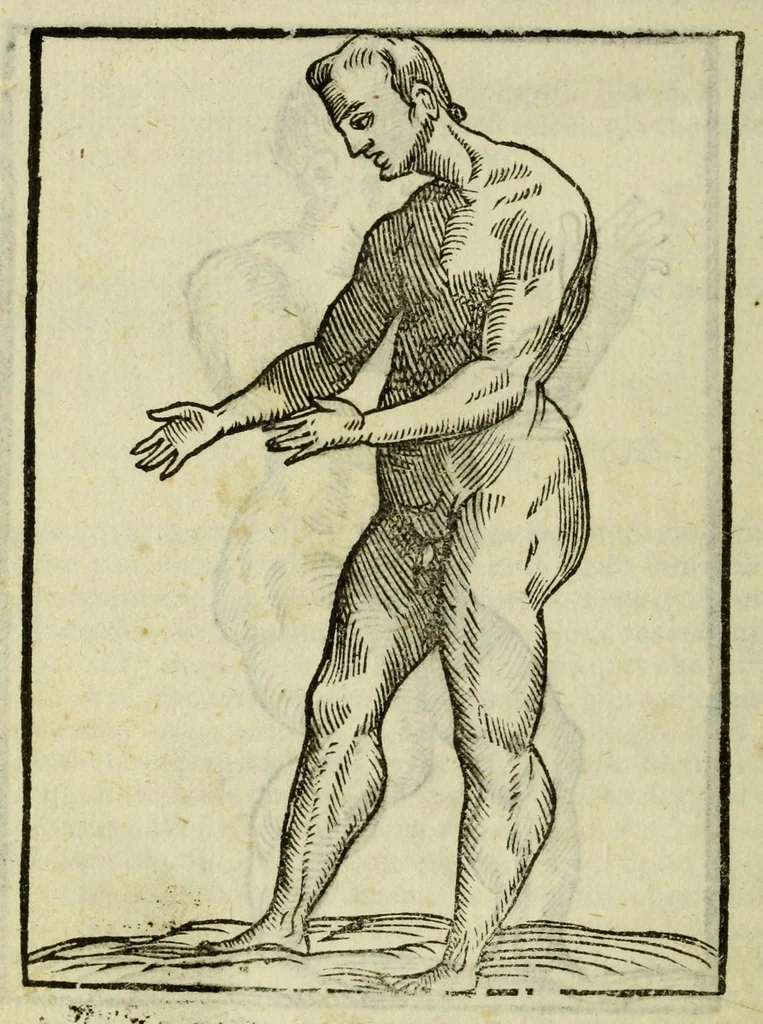 An illustration from Della fisionomia dell'huomo, 1644, leaf 328