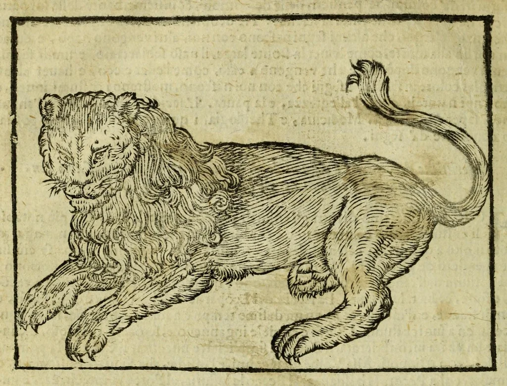 An illustration from Della fisionomia dell'huomo, 1644, leaf 34