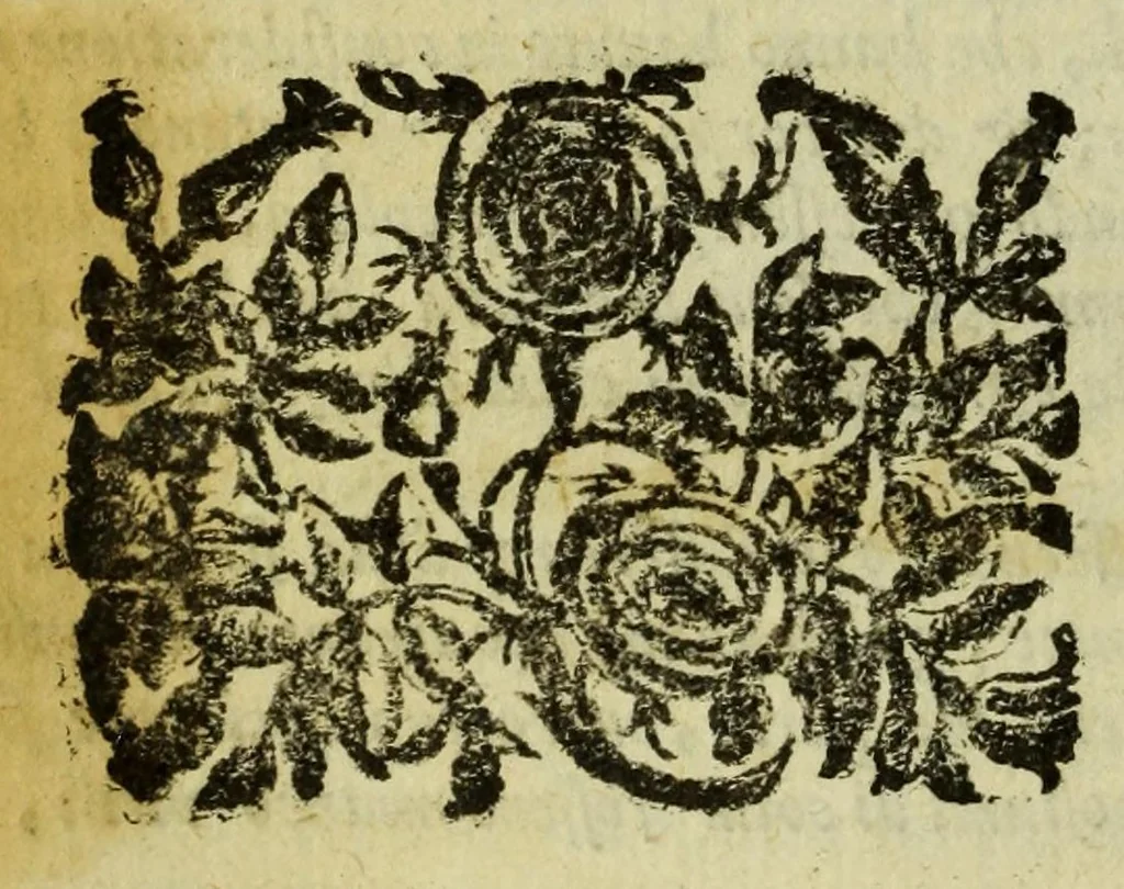 An illustration from Della fisionomia dell'huomo, 1644, leaf 364