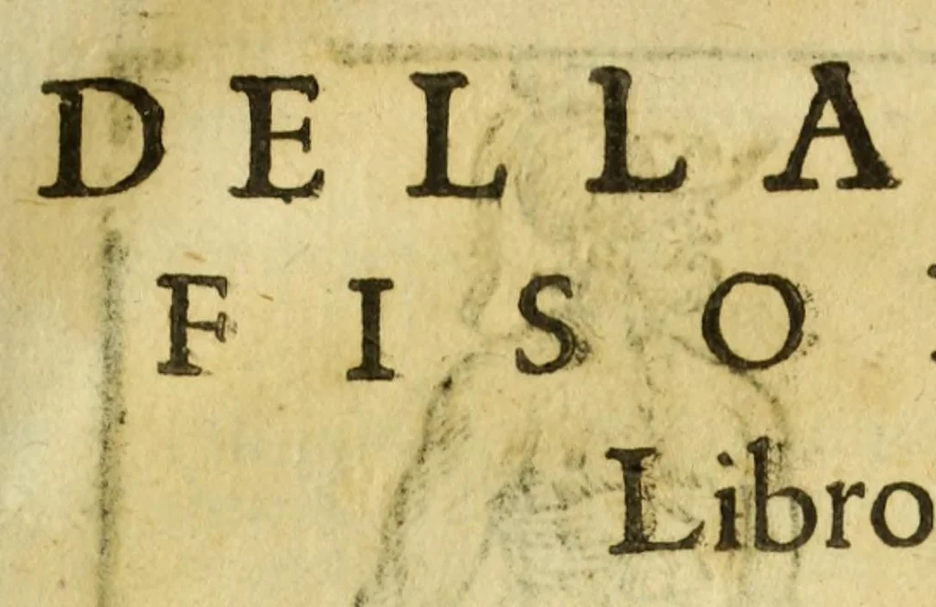 An illustration from Della fisionomia dell'huomo, 1644, leaf 453