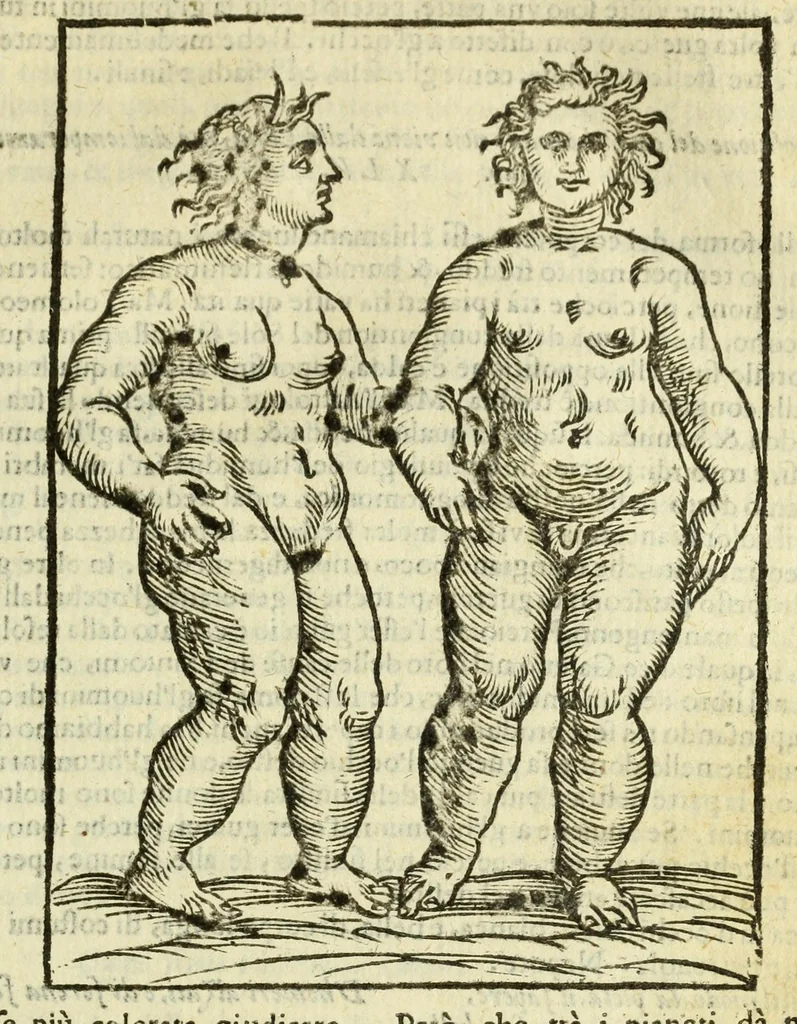 An illustration from Della fisionomia dell'huomo, 1644, leaf 481