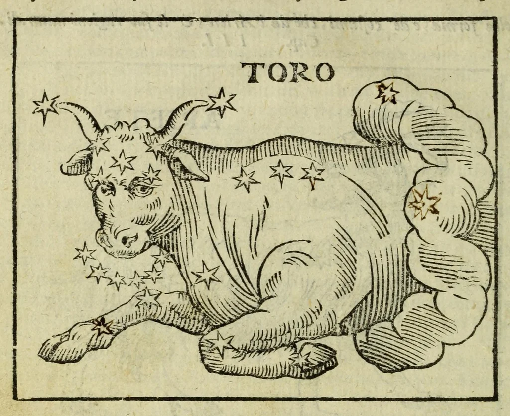 An illustration from Della fisionomia dell'huomo, 1644, leaf 502