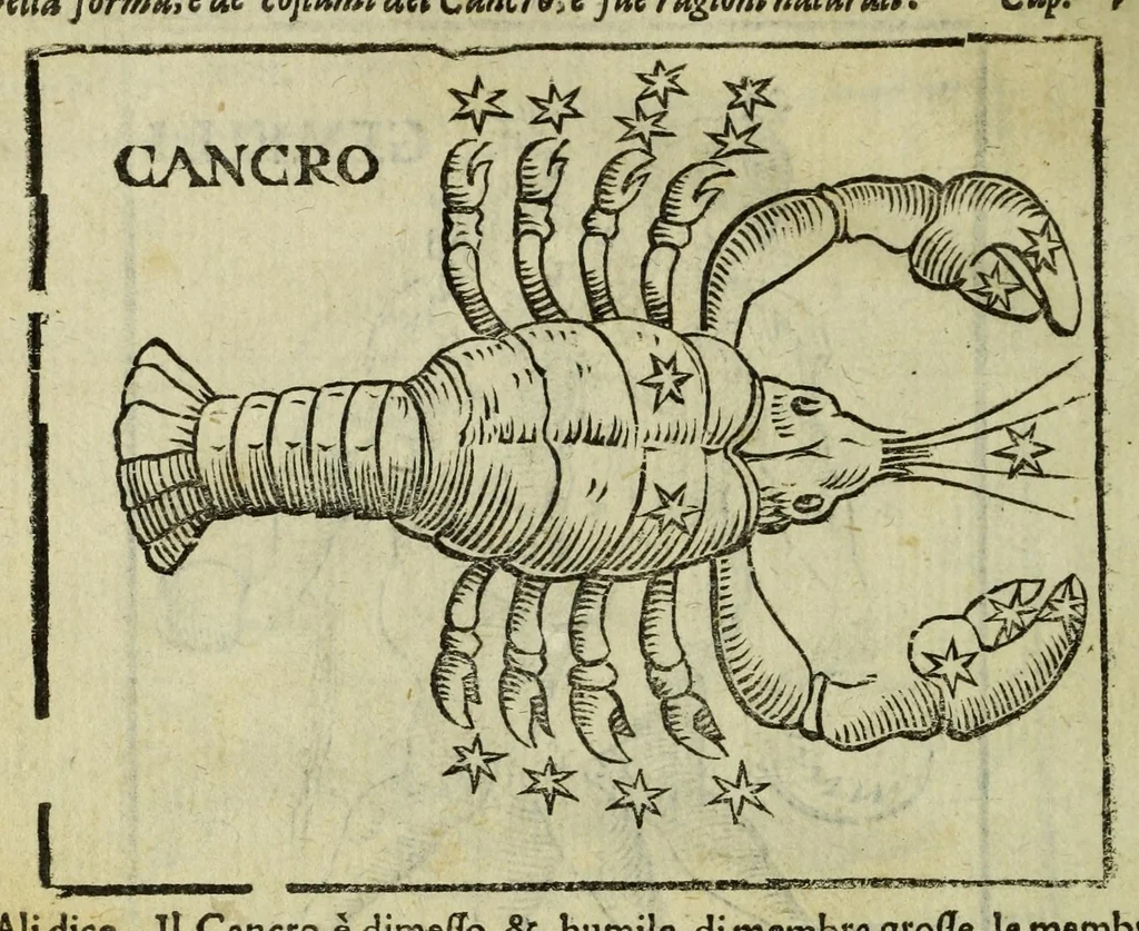 An illustration from Della fisionomia dell'huomo, 1644, leaf 504