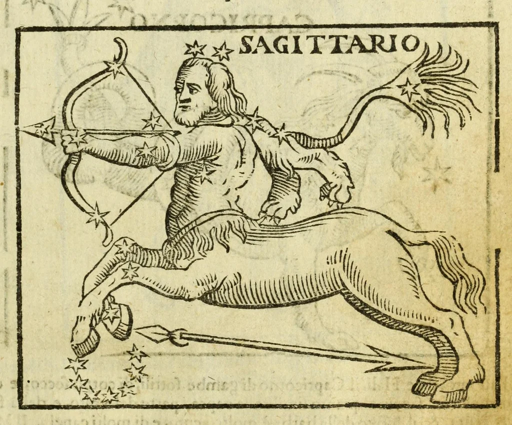 An illustration from Della fisionomia dell'huomo, 1644, leaf 509