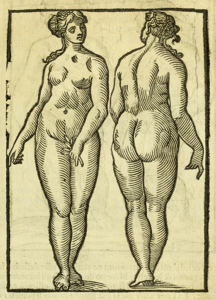 An illustration from Della fisionomia dell'huomo, 1644, leaf 51