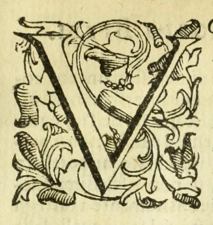 An illustration from Della fisionomia dell'huomo, 1644, leaf 551