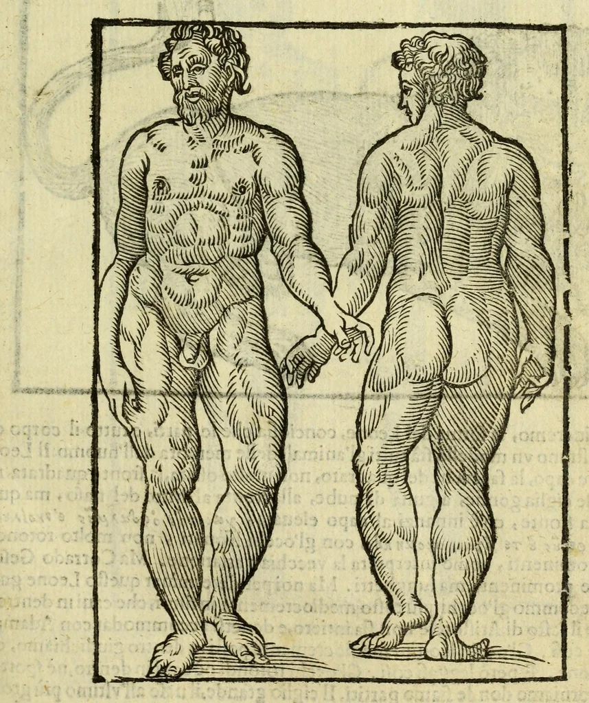 An illustration from Della fisionomia dell'huomo, 1644, leaf 59