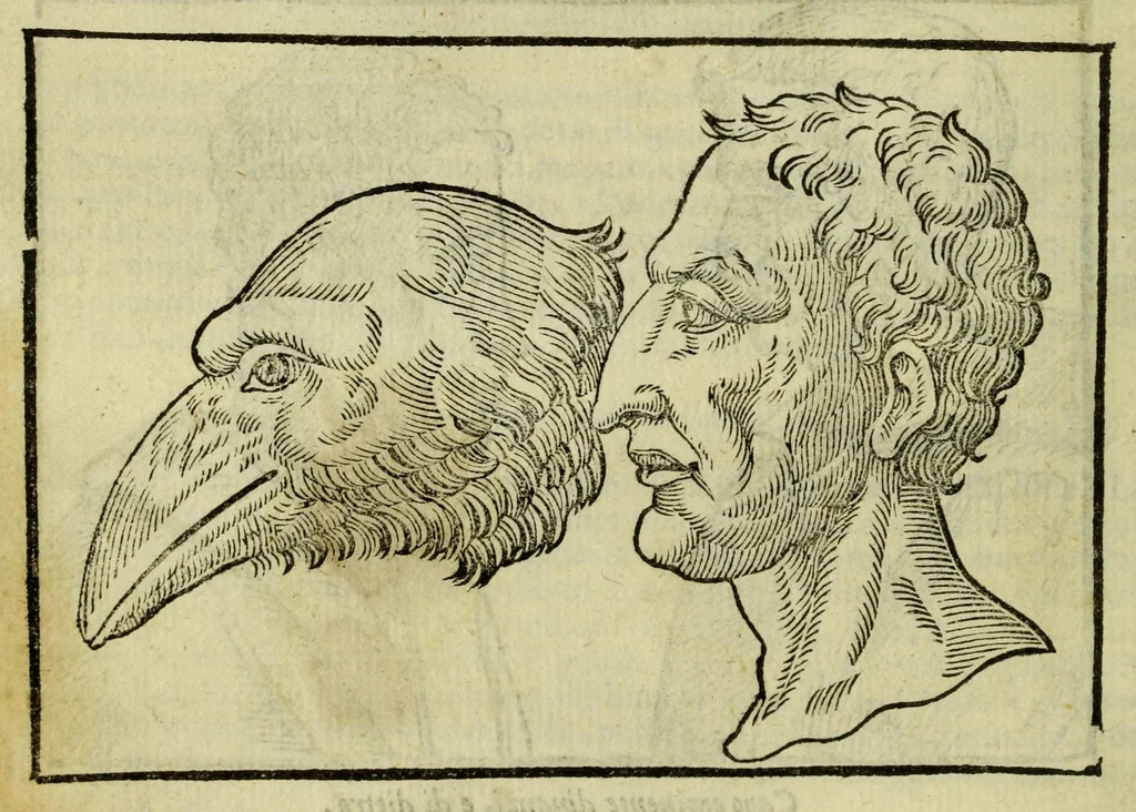 An illustration from Della fisionomia dell'huomo, 1644, leaf 78