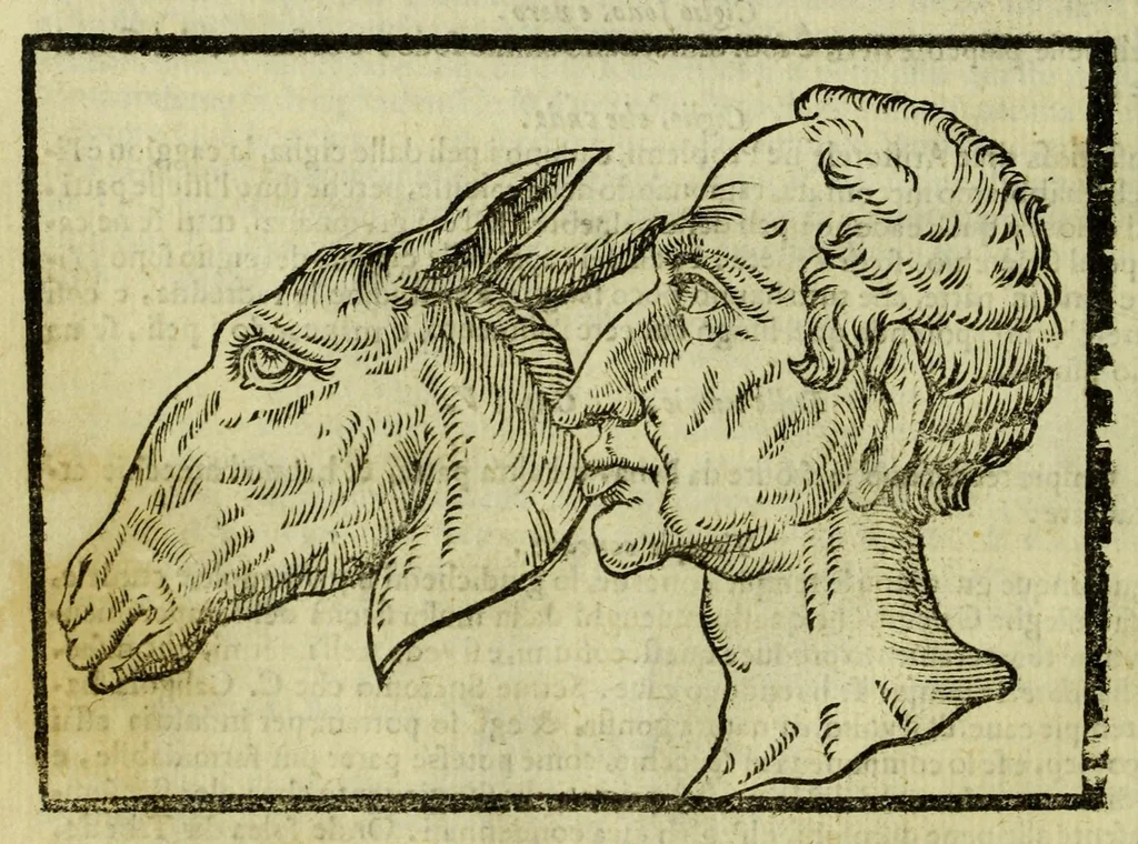 An illustration from Della fisionomia dell'huomo, 1644, leaf 94