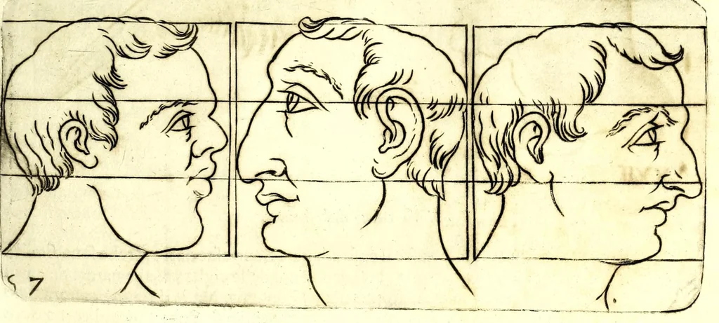 An illustration from Della fisonomia dell' huomo, 1610, leaf 105
