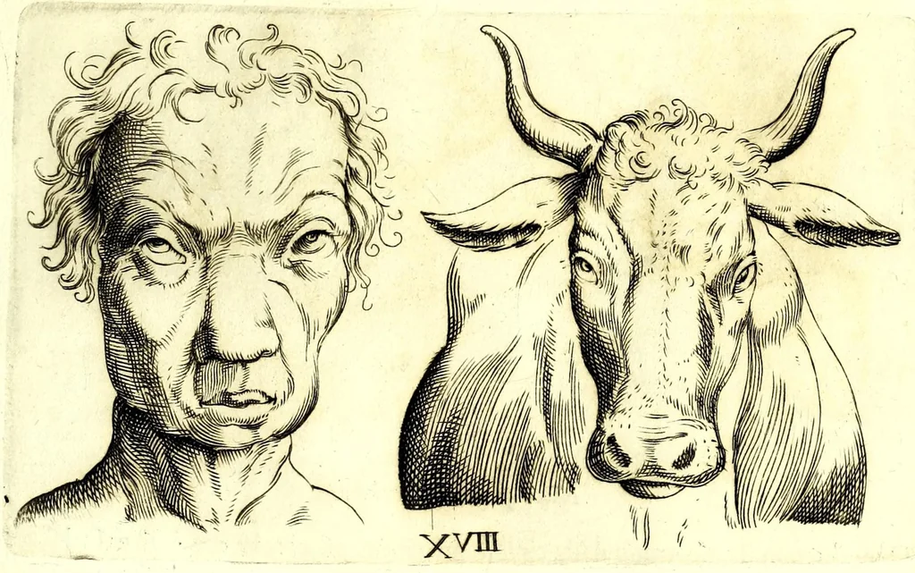 An illustration from Della fisonomia dell' huomo, 1610, leaf 109