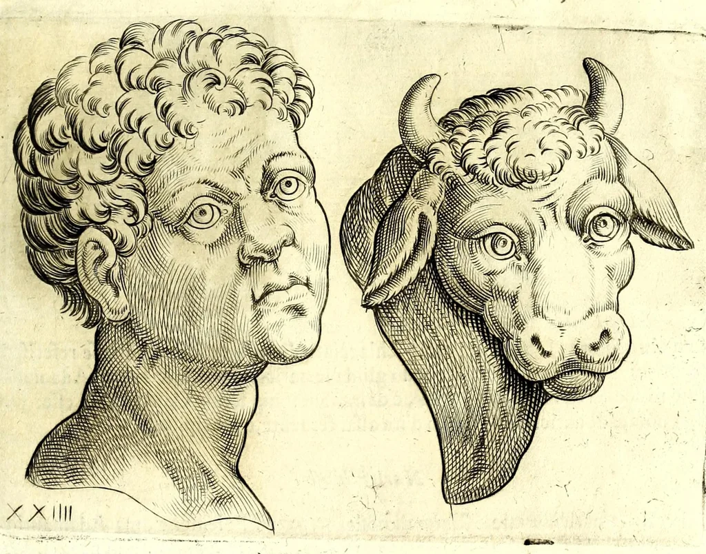 An illustration from Della fisonomia dell' huomo, 1610, leaf 115