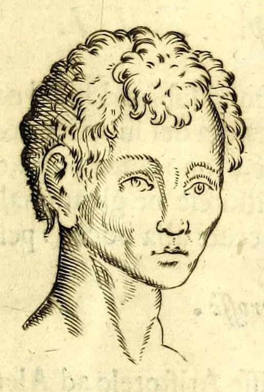 An illustration from Della fisonomia dell' huomo, 1610, leaf 127