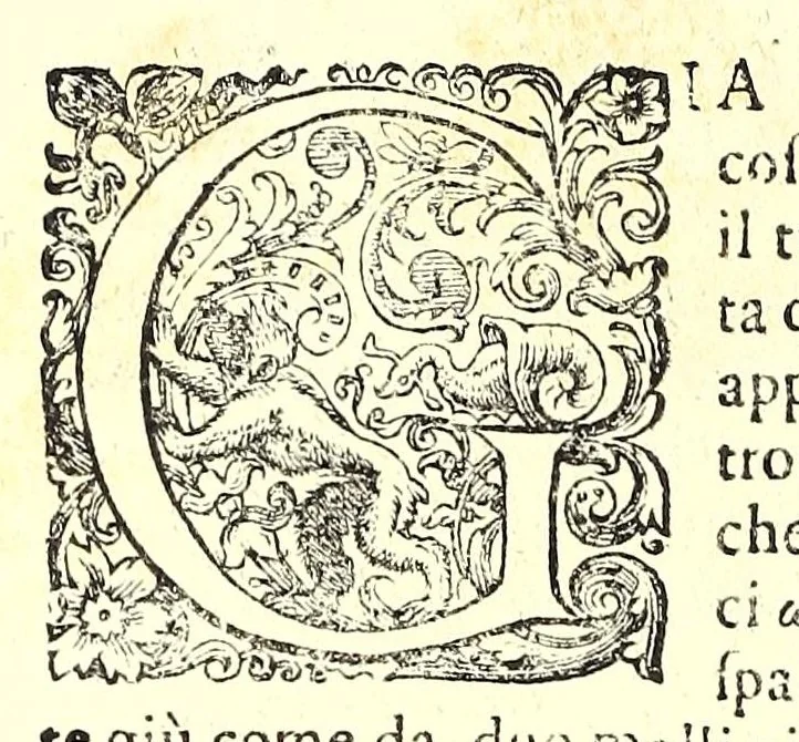 An illustration from Della fisonomia dell' huomo, 1610, leaf 164