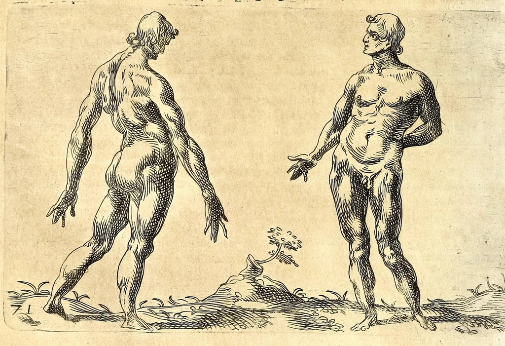 An illustration from Della fisonomia dell' huomo, 1610, leaf 180