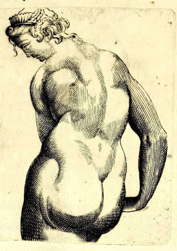 An illustration from Della fisonomia dell' huomo, 1610, leaf 187