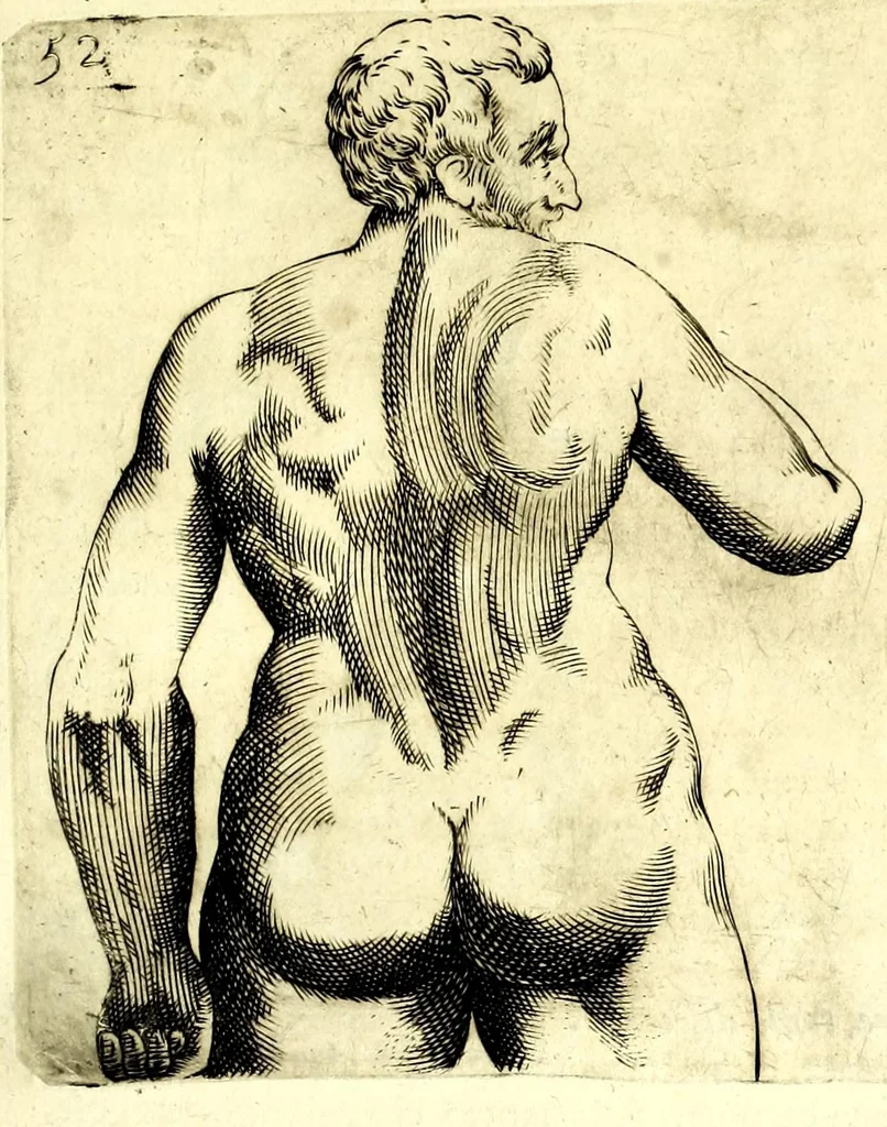 An illustration from Della fisonomia dell' huomo, 1610, leaf 187