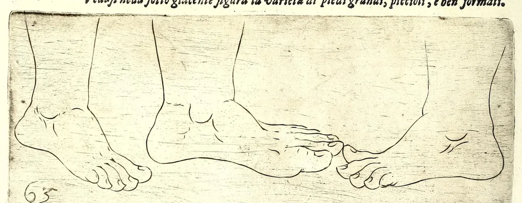 An illustration from Della fisonomia dell' huomo, 1610, leaf 196