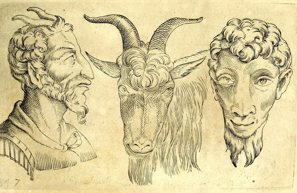 An illustration from Della fisonomia dell' huomo, 1610, leaf 245